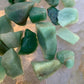 Full profile of Grade AA Aventurine raw ready to ship from Beyond Bohemian