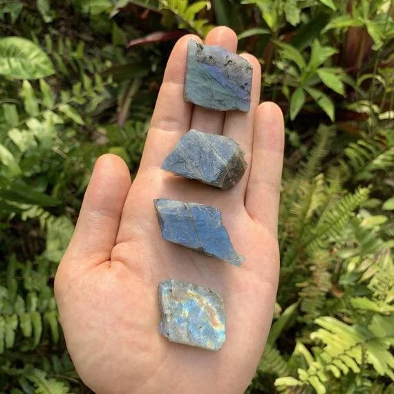 Grade aaa labradorite raw held in hand for size reference