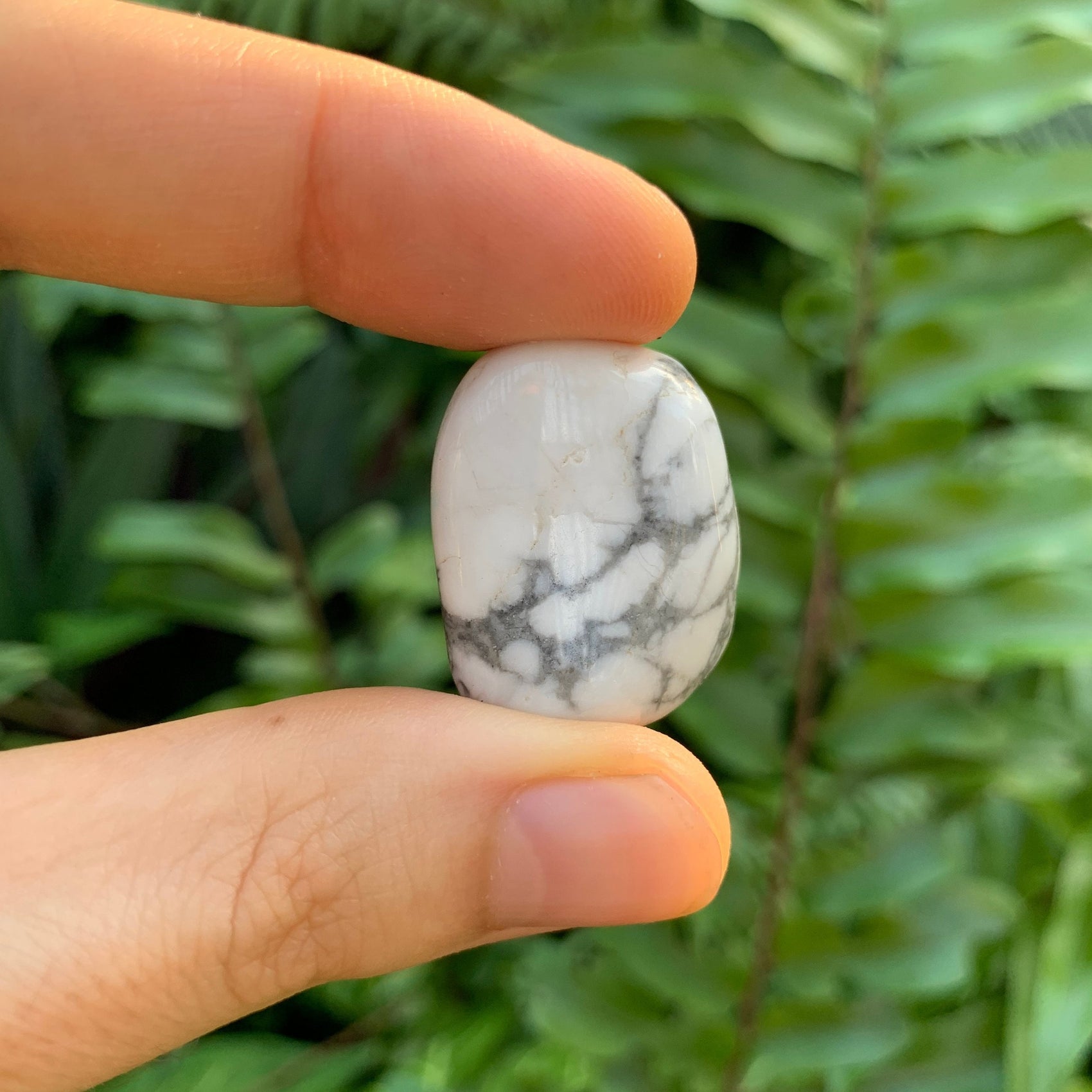 Full profile of Grade AA Howlite tumbled stone ready to ship from Beyond Bohemian