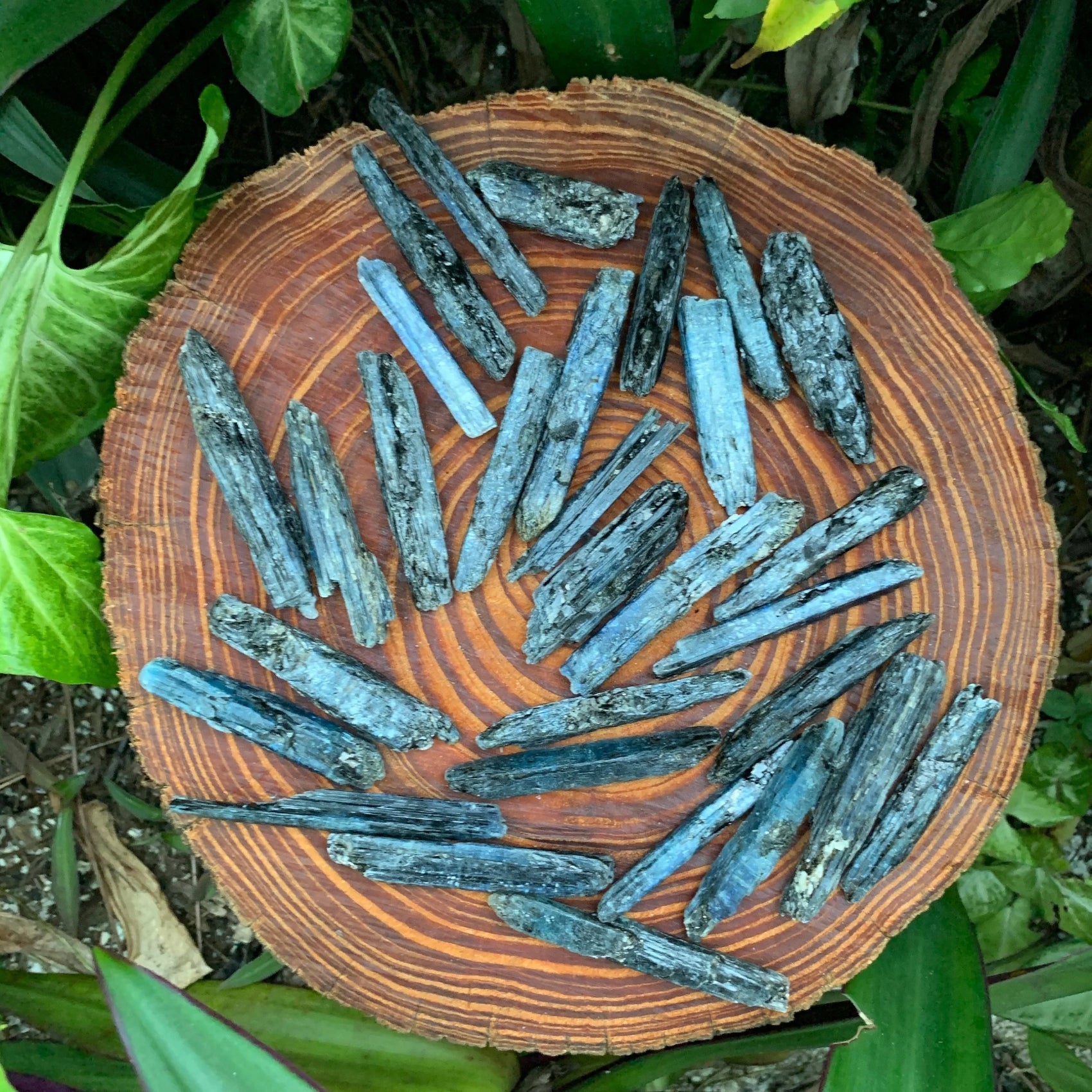Full profile of Grade AA Blue Kyanite raw ready to ship from Beyond Bohemian