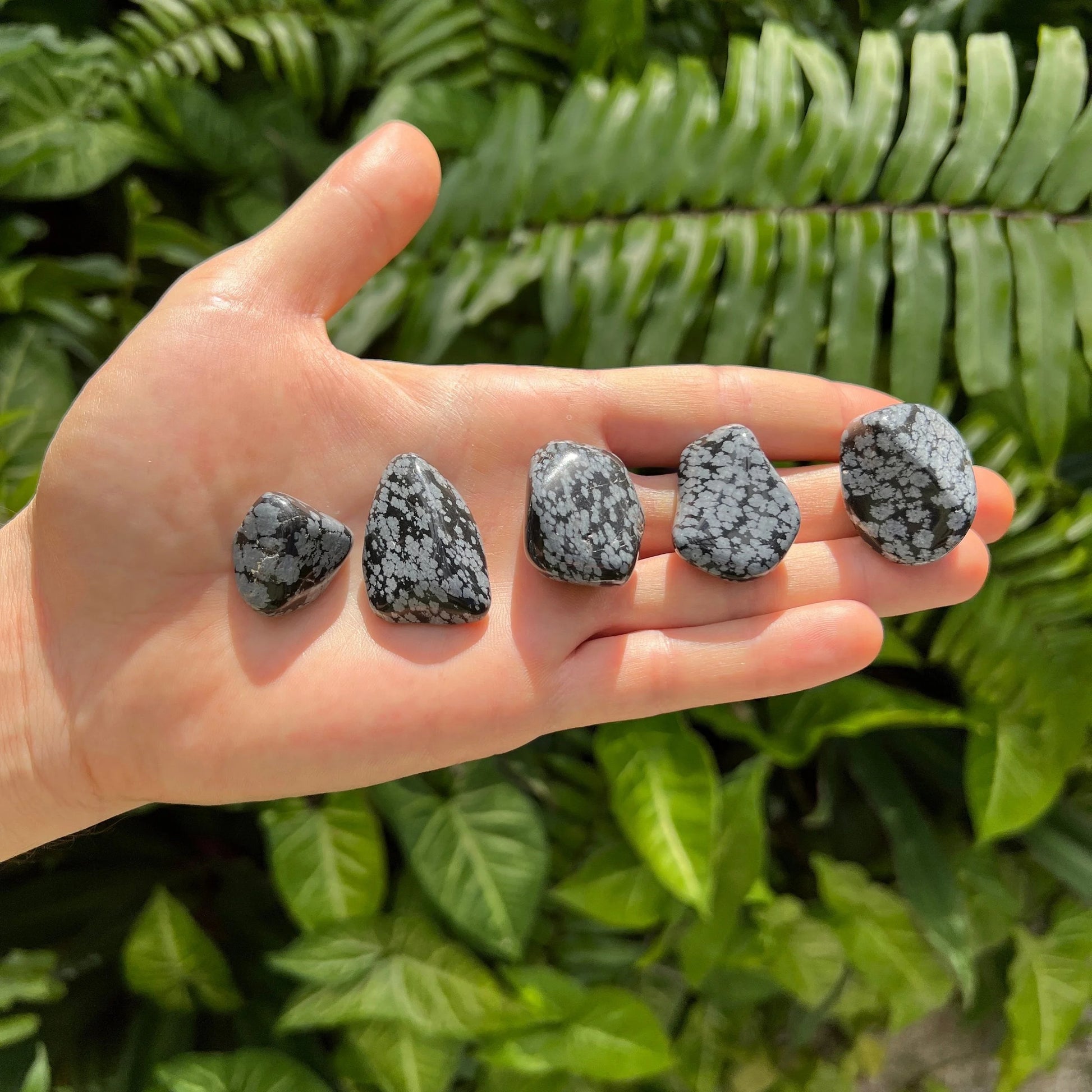 Back view of Grade AA Snowflake Obsidian tumbled stone showing natural surface