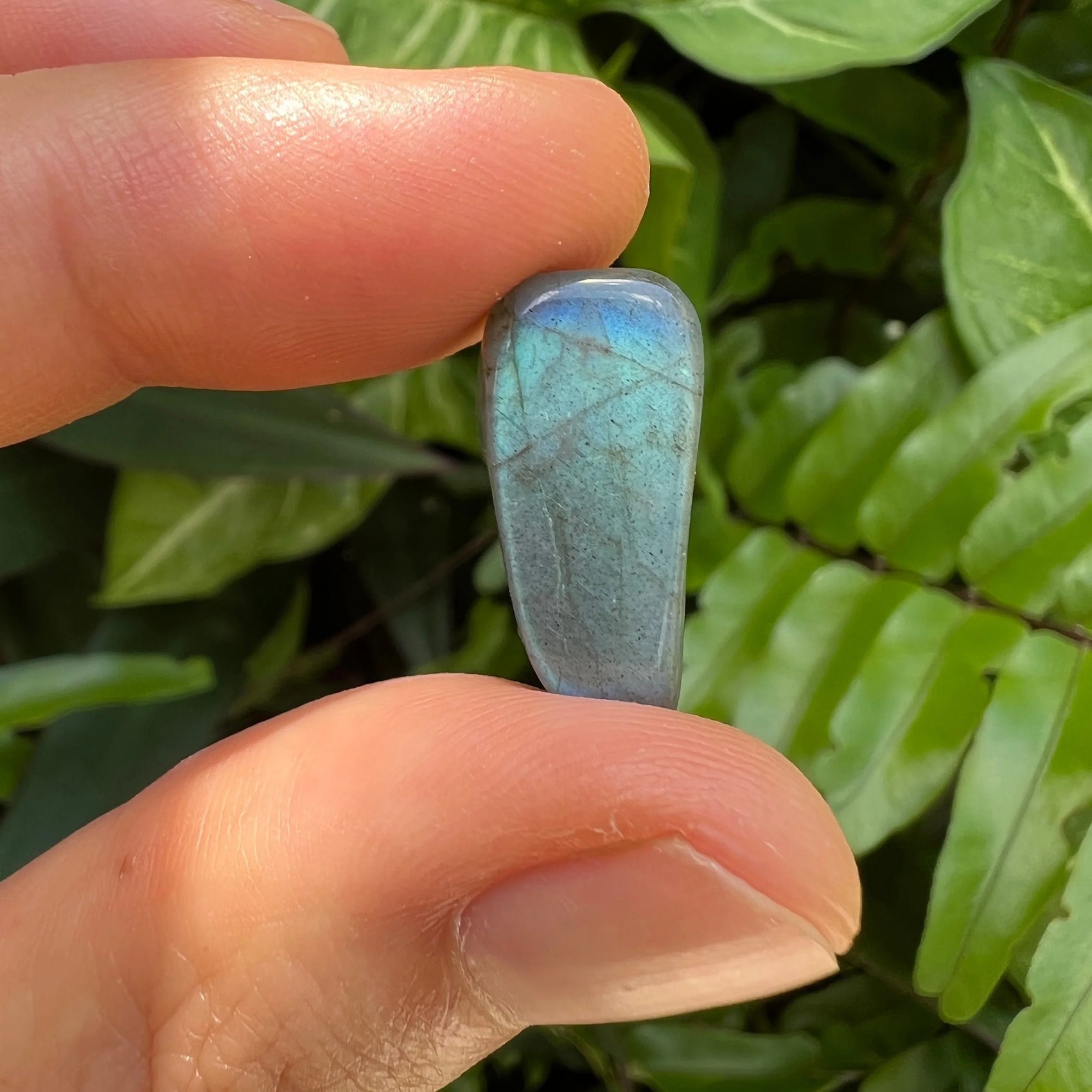 Bird's-eye view of Labradorite tumbled stone, from Atsimo-Andrefana, Madagascar, showing subtle veining.