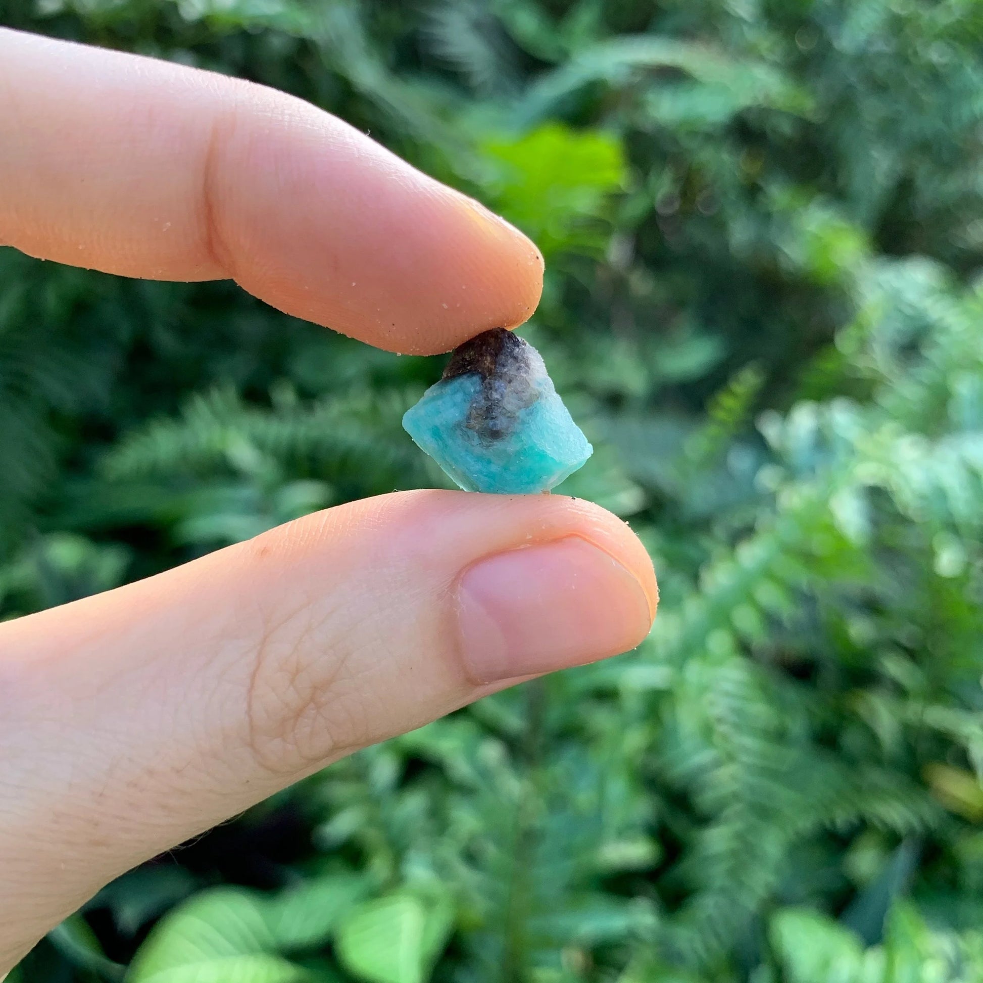 Lifestyle view of a Amazonite raw stone held against natural backdrop, from Amboasitra, Madagascar.