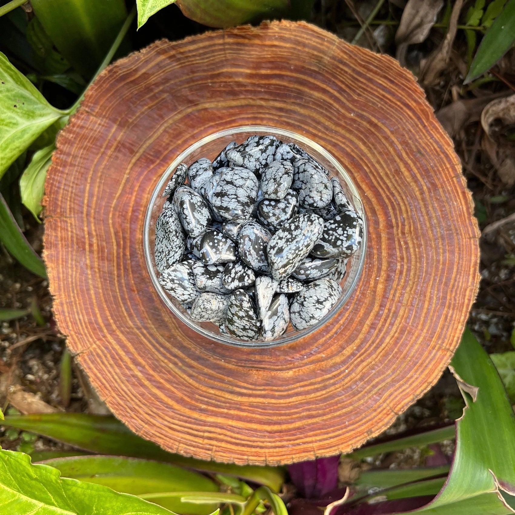 Detail capture of Snowflake Obsidian tumbled stone, turned to for Grounding and Emotional Healing, showing earthy tone.
