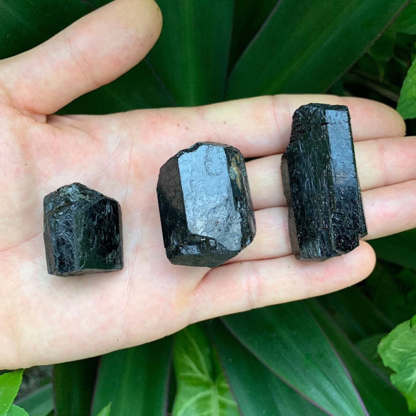 Full profile of Grade AA Black Tourmaline raw ready to ship from Beyond Bohemian