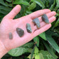 Full profile of Grade AA Labradorite raw ready to ship from Beyond Bohemian