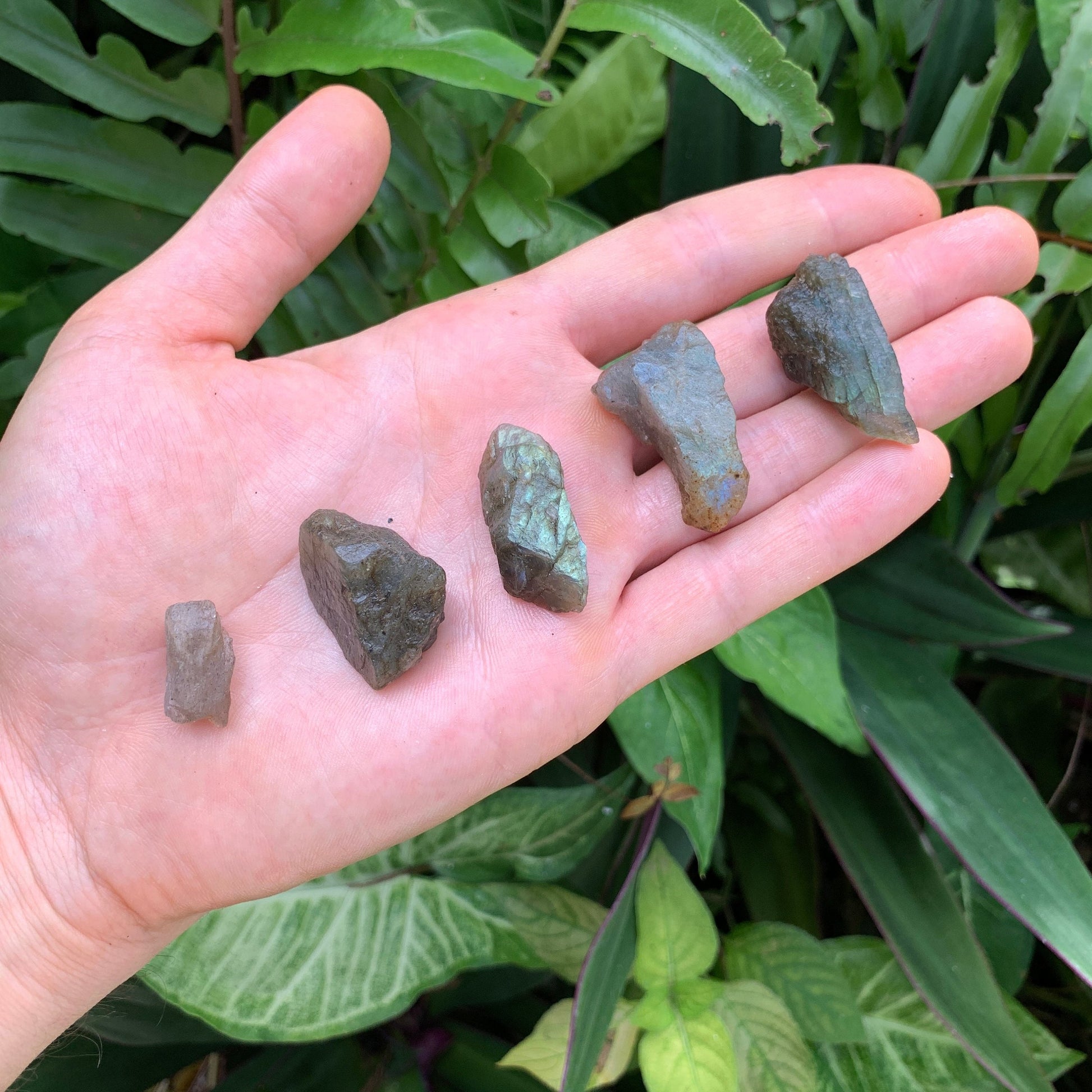 Full profile of Grade AA Labradorite raw ready to ship from Beyond Bohemian