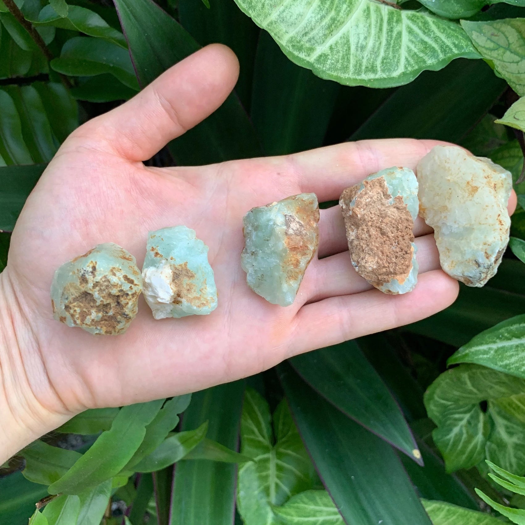 Close-up of Prehnite raw stone from Namibia, soothing wellness stone for Emotional Healing