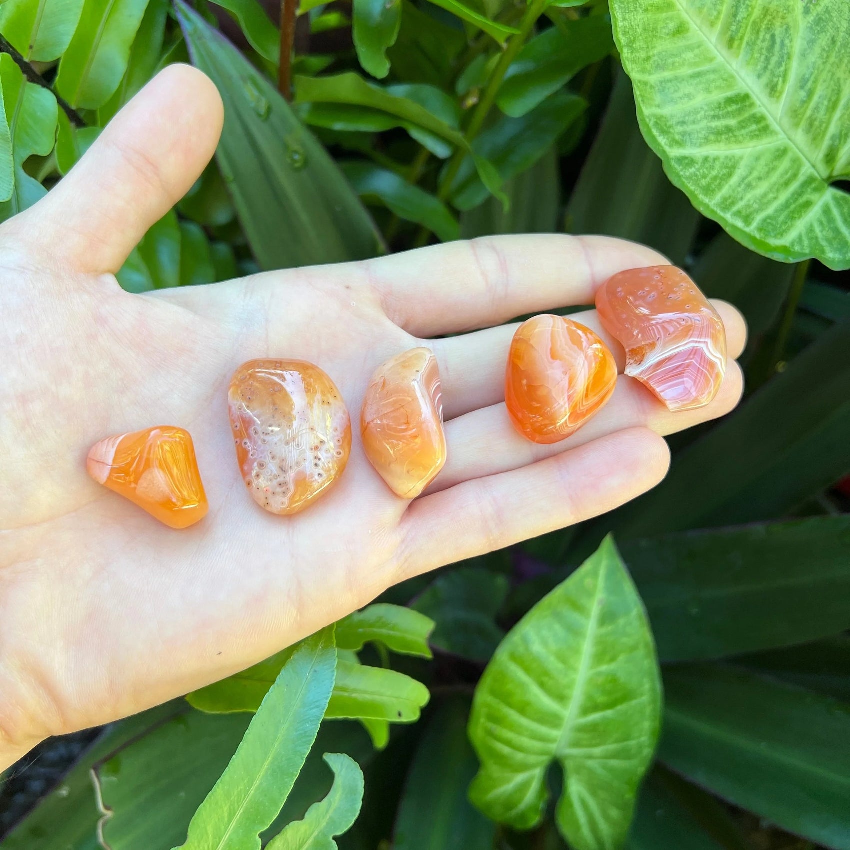 Back view of Grade AA Carnelian tumbled stone showing natural surface