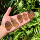 Hand-held view of one Natural Citrine raw point for scale, sourced from Brazil.