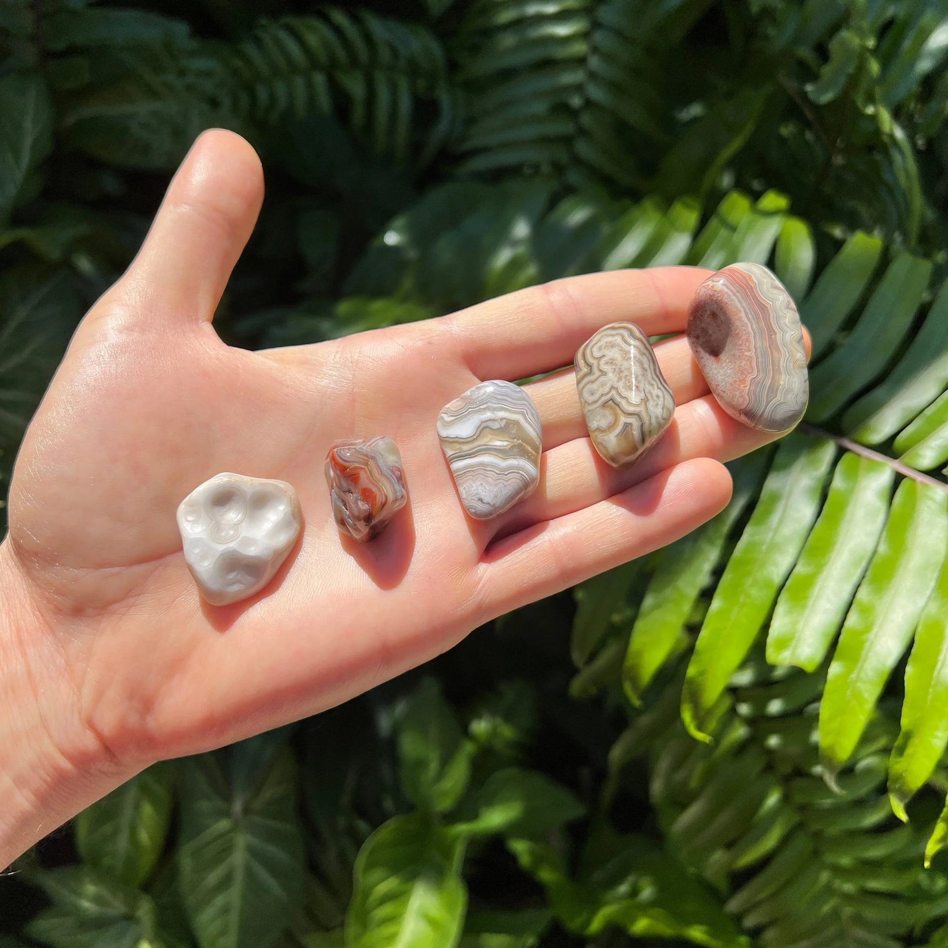 Full profile of Grade A Crazy Lace Agate tumbled stone ready to ship from Beyond Bohemian