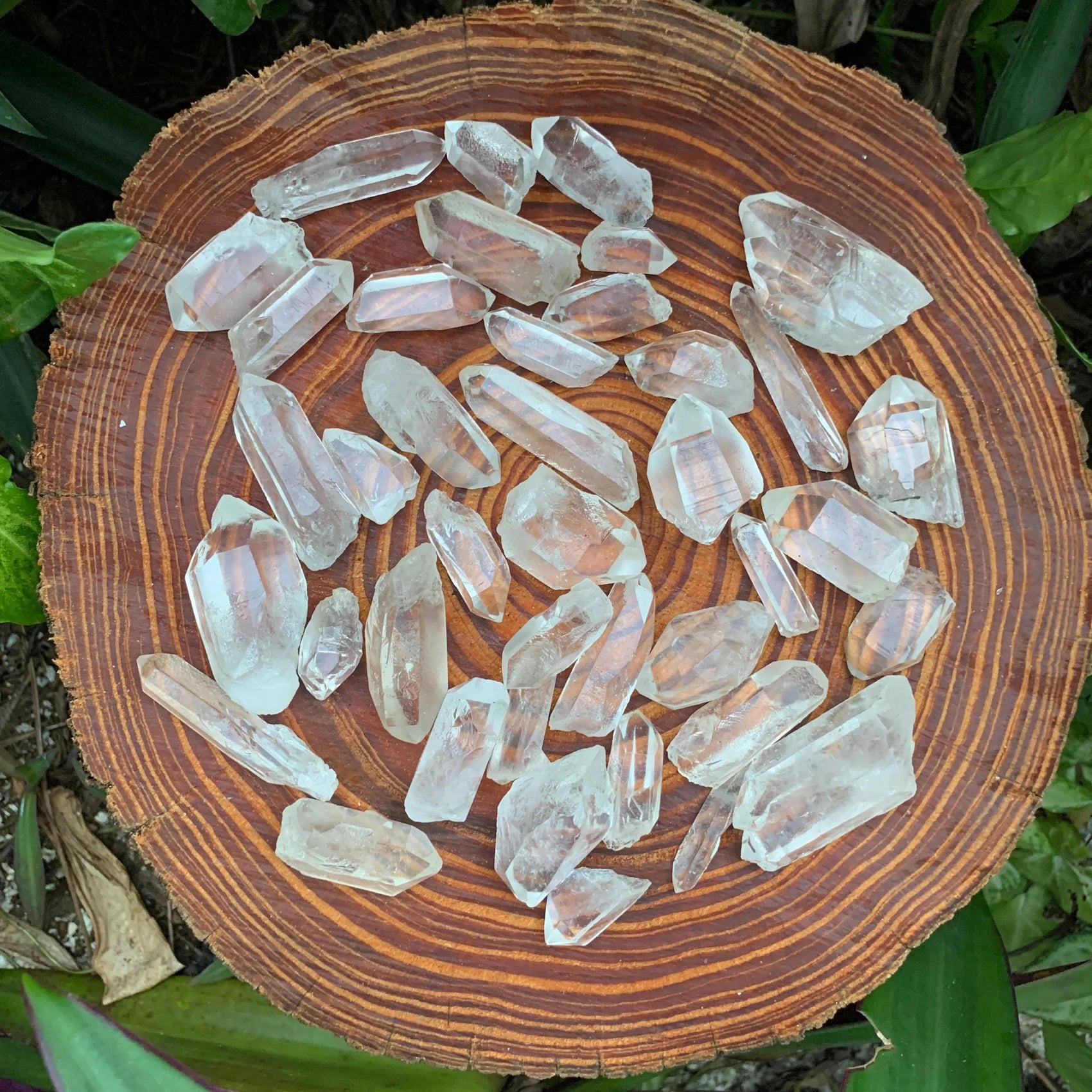 Hand-scale view of Clear Quartz raw crystal, from Minas Gerais, Brazil, shown alongside the hand for scale.