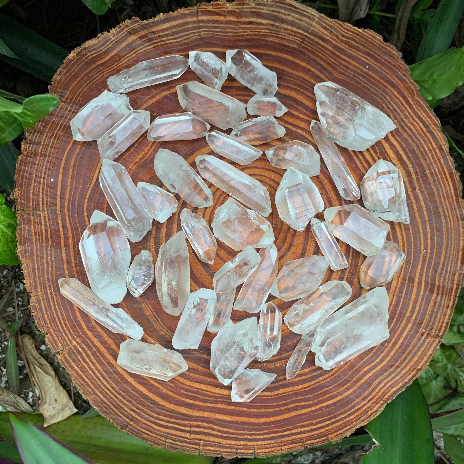 Hand-scale view of Clear Quartz raw crystal, from Minas Gerais, Brazil, shown alongside the hand for scale.