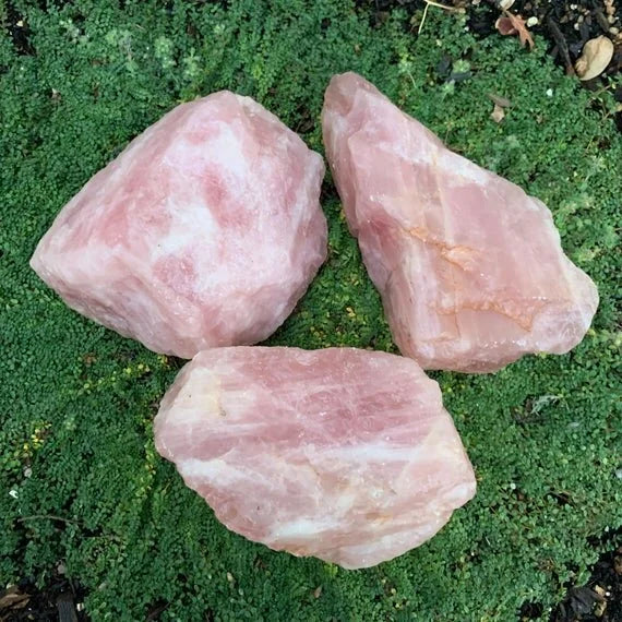 Natural light view of a Rose Quartz raw stone held against natural backdrop.