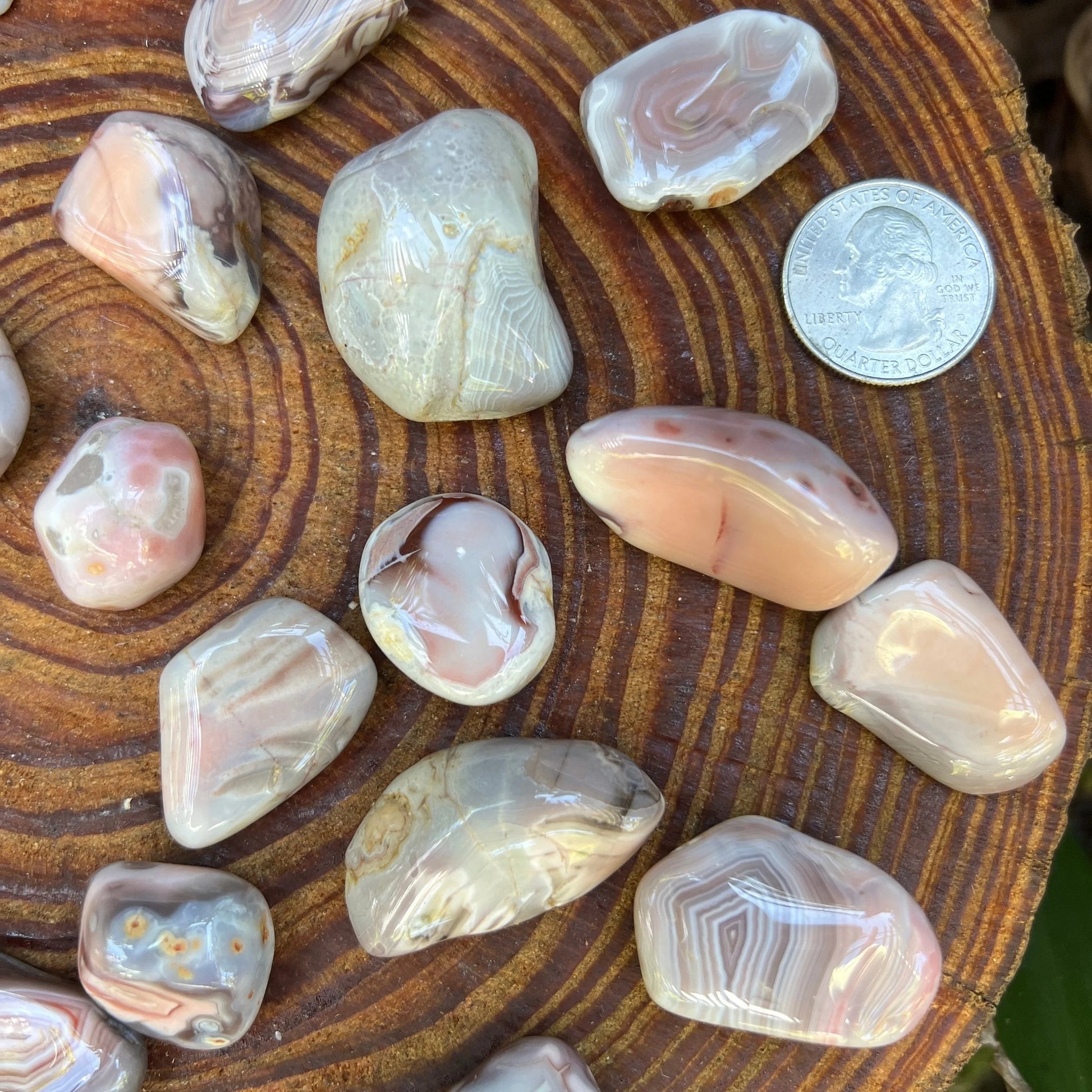 Full profile of Grade AA Pink Agate tumbled stone ready to ship from Beyond Bohemian