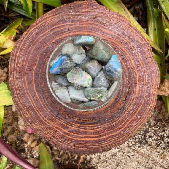 In context of a Labradorite tumbled stone, from Atsimo-Andrefana, Madagascar, with weight visible in the palm.