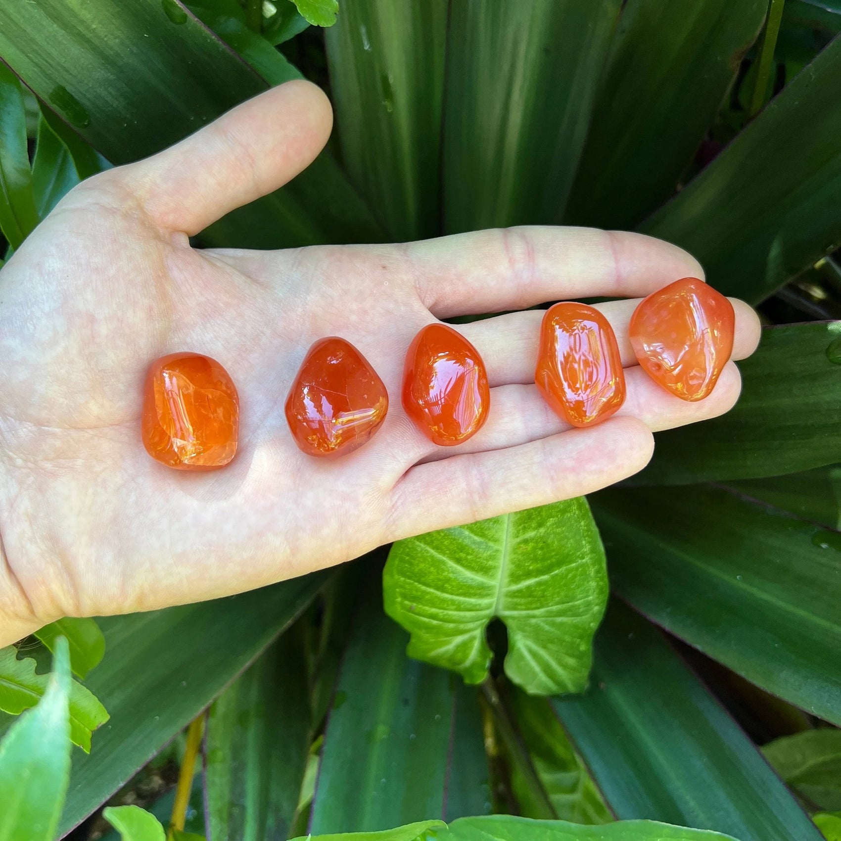 Detail shot of Grade AA Carnelian tumbled stone under natural light