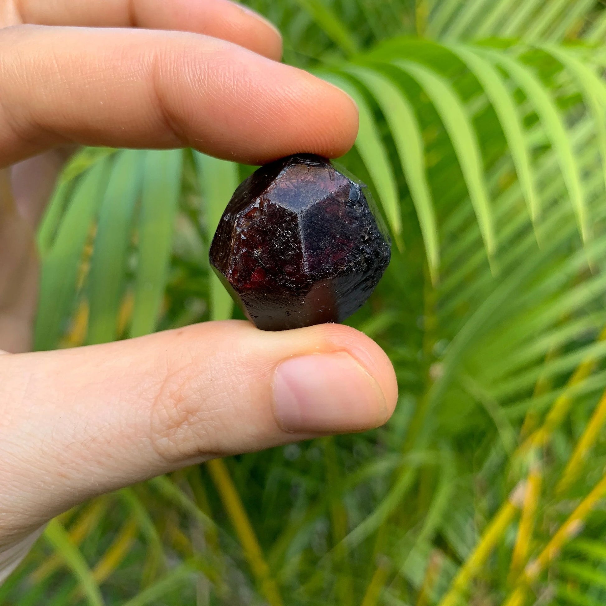 Rear view of Garnet raw stone, from Brazil, carried for Energy.