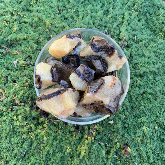 Full profile of Grade AA Septarian raw ready to ship from Beyond Bohemian