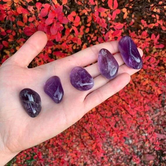 Whole-piece view of Amethyst tumbled stone, with natural details visible.