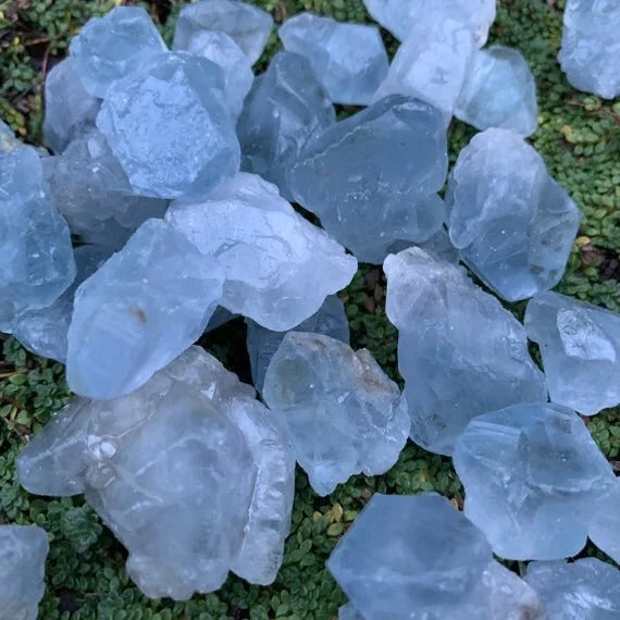 Scale reference of a Celestite raw stone held against natural backdrop.