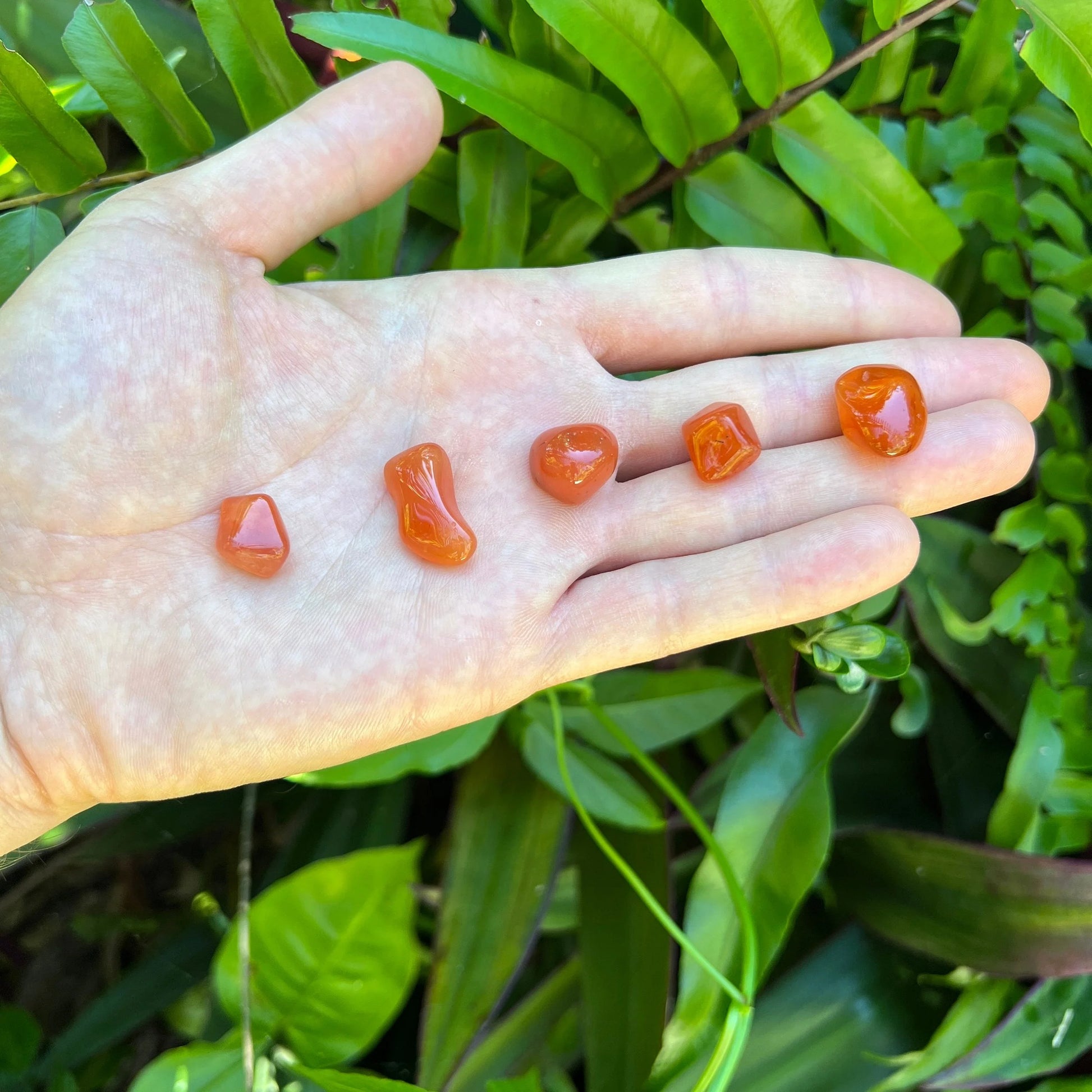 Full profile of Grade AA Carnelian tumbled stone ready to ship from Beyond Bohemian