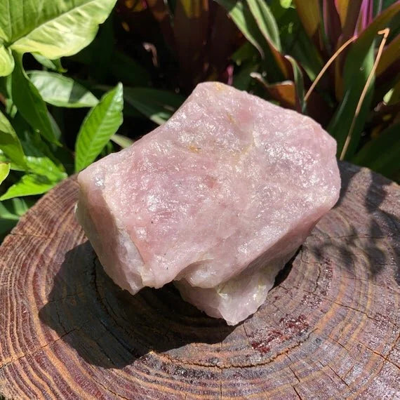 Companion image of Rose Quartz specimen, with weight visible in the palm.
