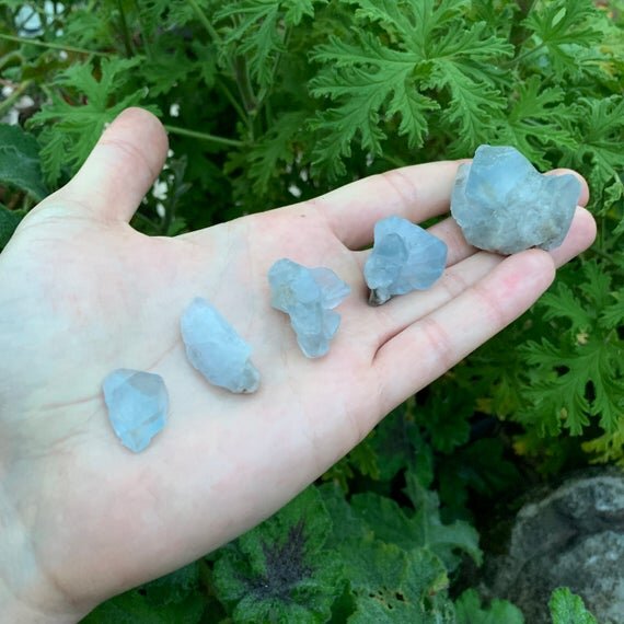 Full profile of Grade AA Celestite raw ready to ship from Beyond Bohemian
