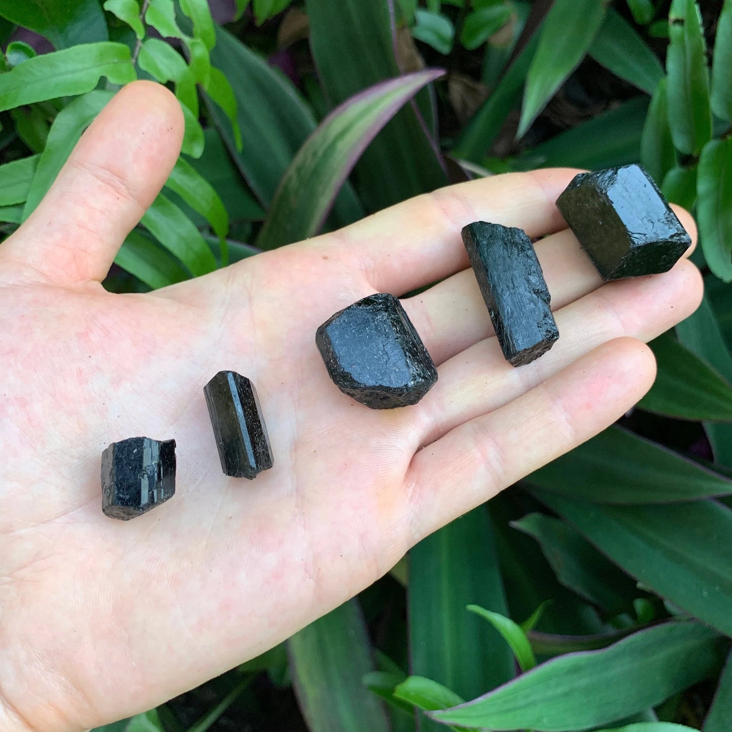 Detail shot of Grade AA Black Tourmaline raw under natural light