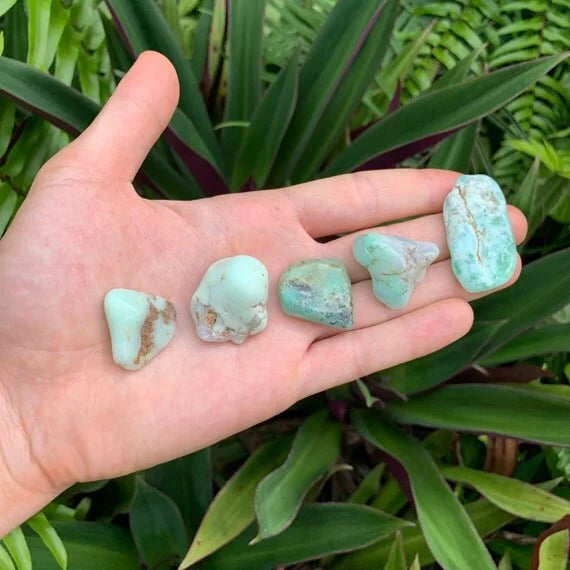 Held in hand is a Chrysoprase tumbled stone, from Bahia, Brazil, with character of the piece on display.