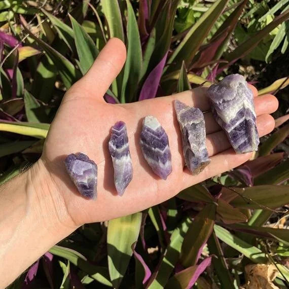 Grade aa chevron amethyst raw held in hand for size reference