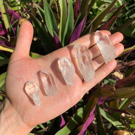 Composed shot of Lemurian Quartz raw crystal, often kept for Cleansing, with hand-sized presence.