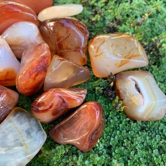 Full profile of Grade AA Carnelian tumbled stone ready to ship from Beyond Bohemian