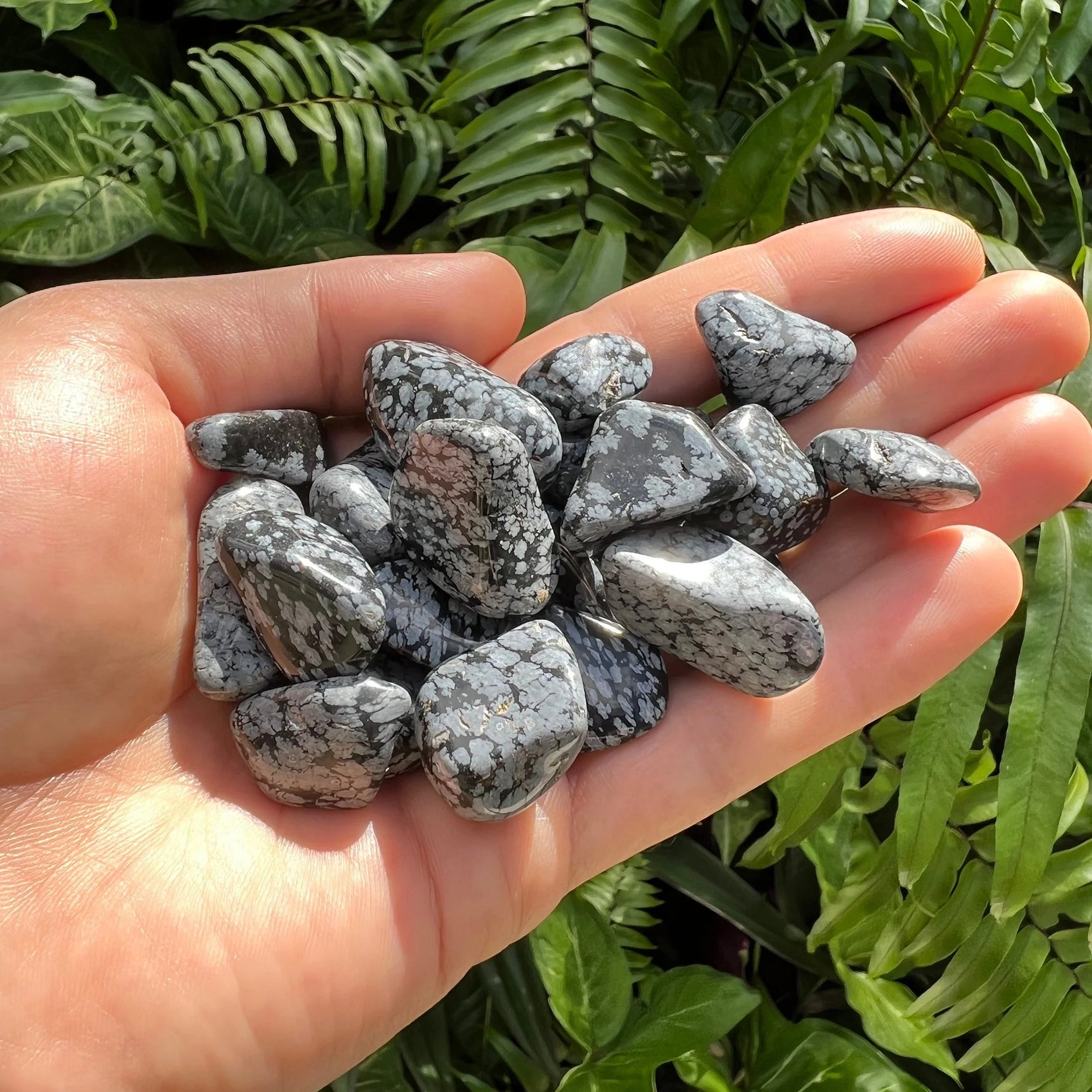 Full profile of Grade AA Snowflake Obsidian tumbled stone ready to ship from Beyond Bohemian