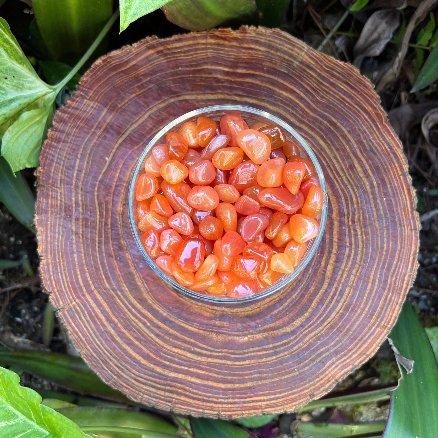 Daylight view of a Carnelian tumbled stone kept near for Energy.