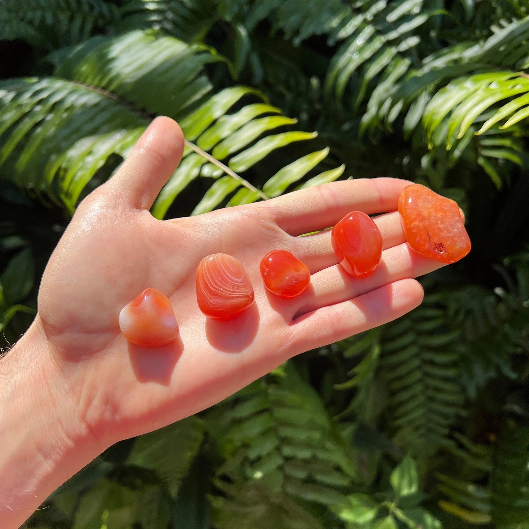 Full profile of Grade AA Carnelian tumbled stone ready to ship from Beyond Bohemian