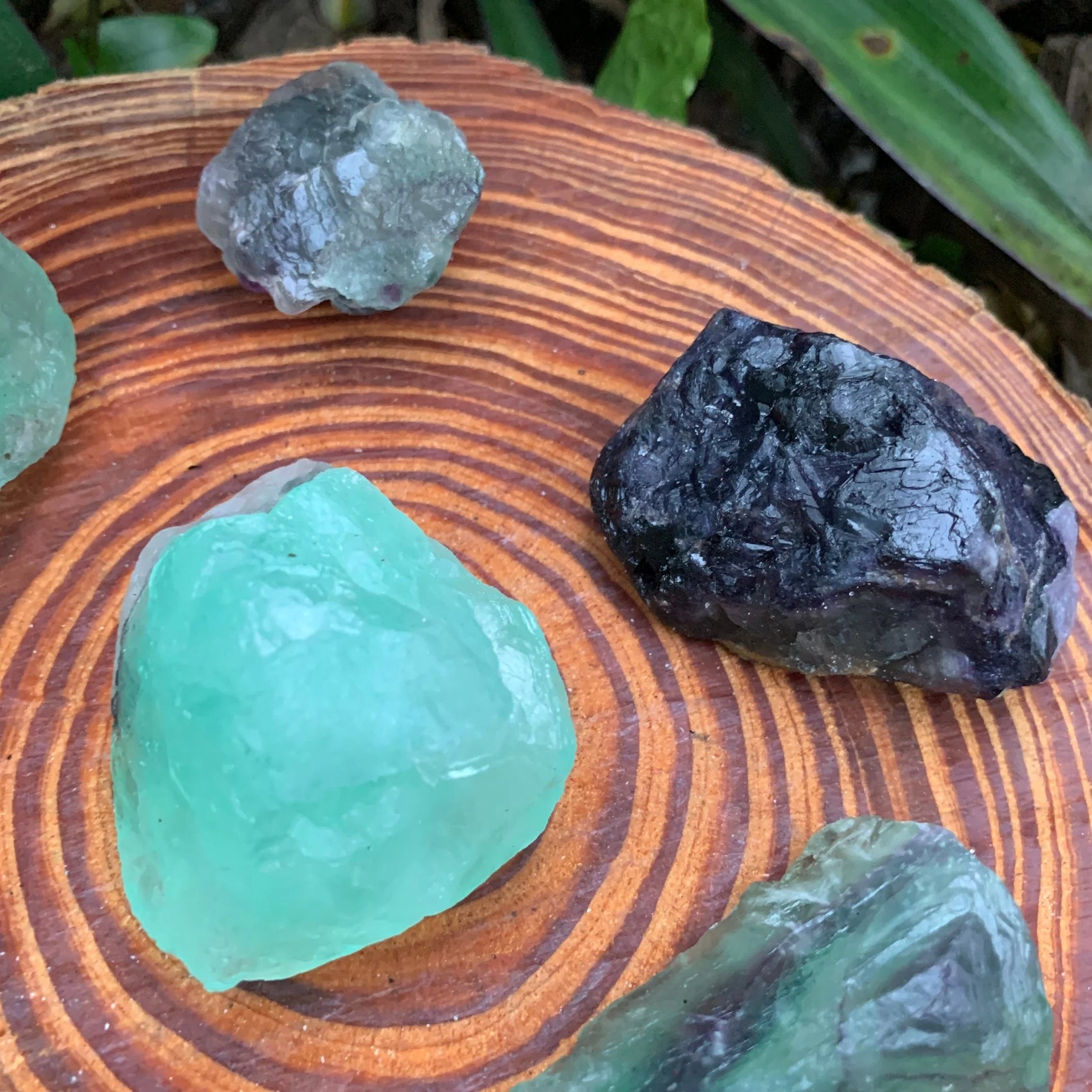 Full profile of Grade AA Fluorite raw ready to ship from Beyond Bohemian