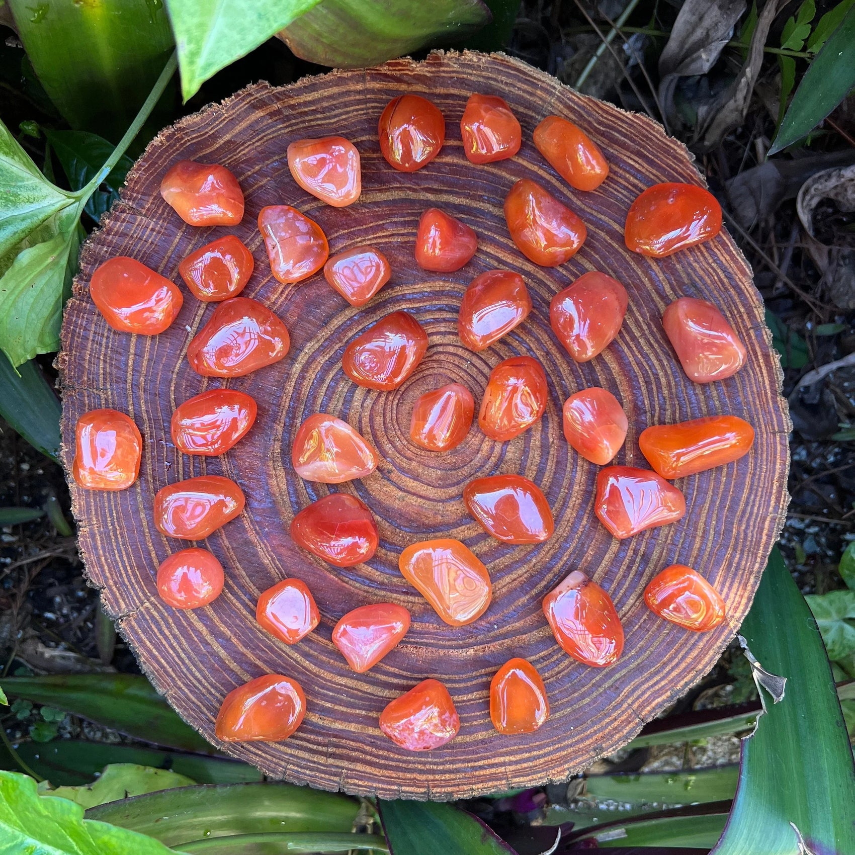 Grade aa carnelian tumbled stone held in hand for size reference