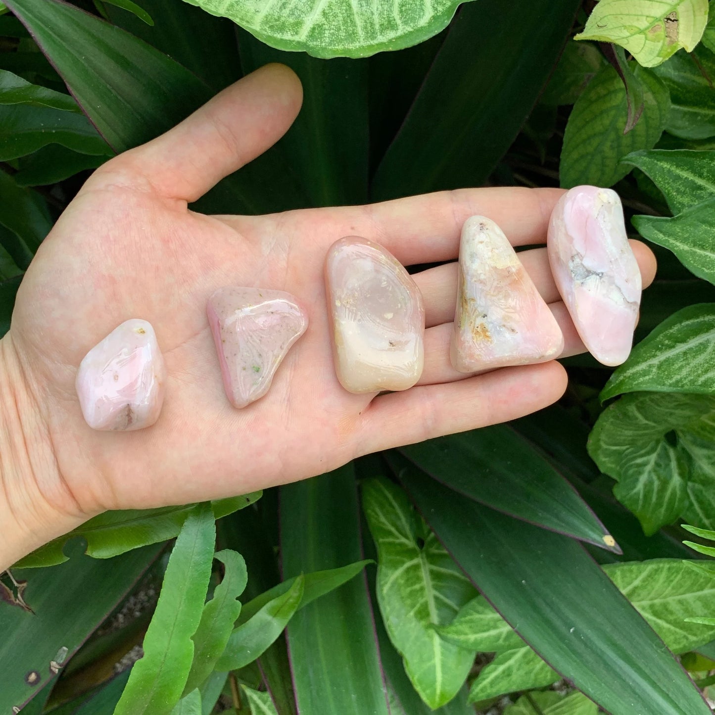Held against neutral backdrop is a Pink Opal tumbled stone, set against a soft neutral surface.