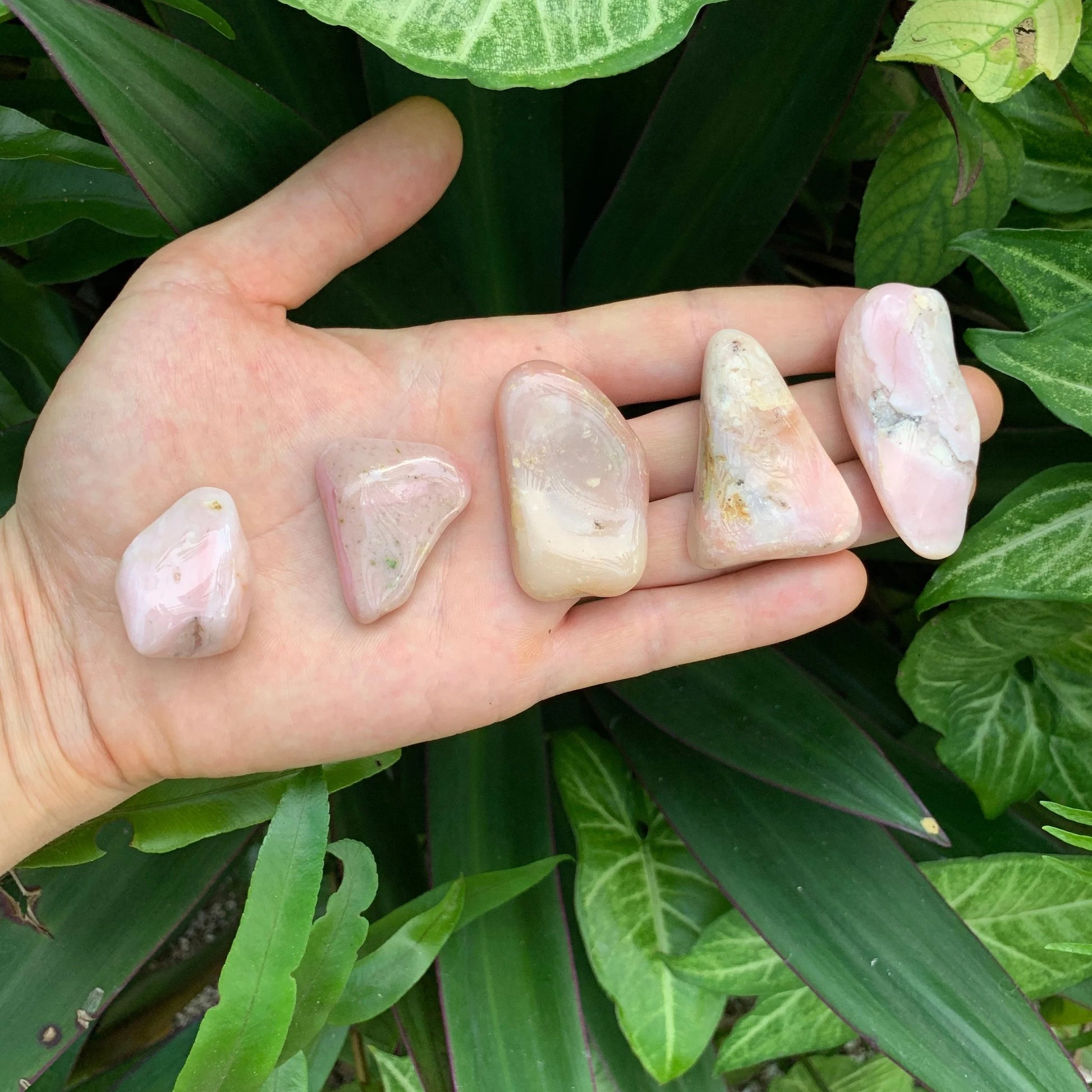 Held against neutral backdrop is a Pink Opal tumbled stone, set against a soft neutral surface.