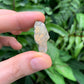 Full profile of Grade AA Labradorite raw ready to ship from Beyond Bohemian
