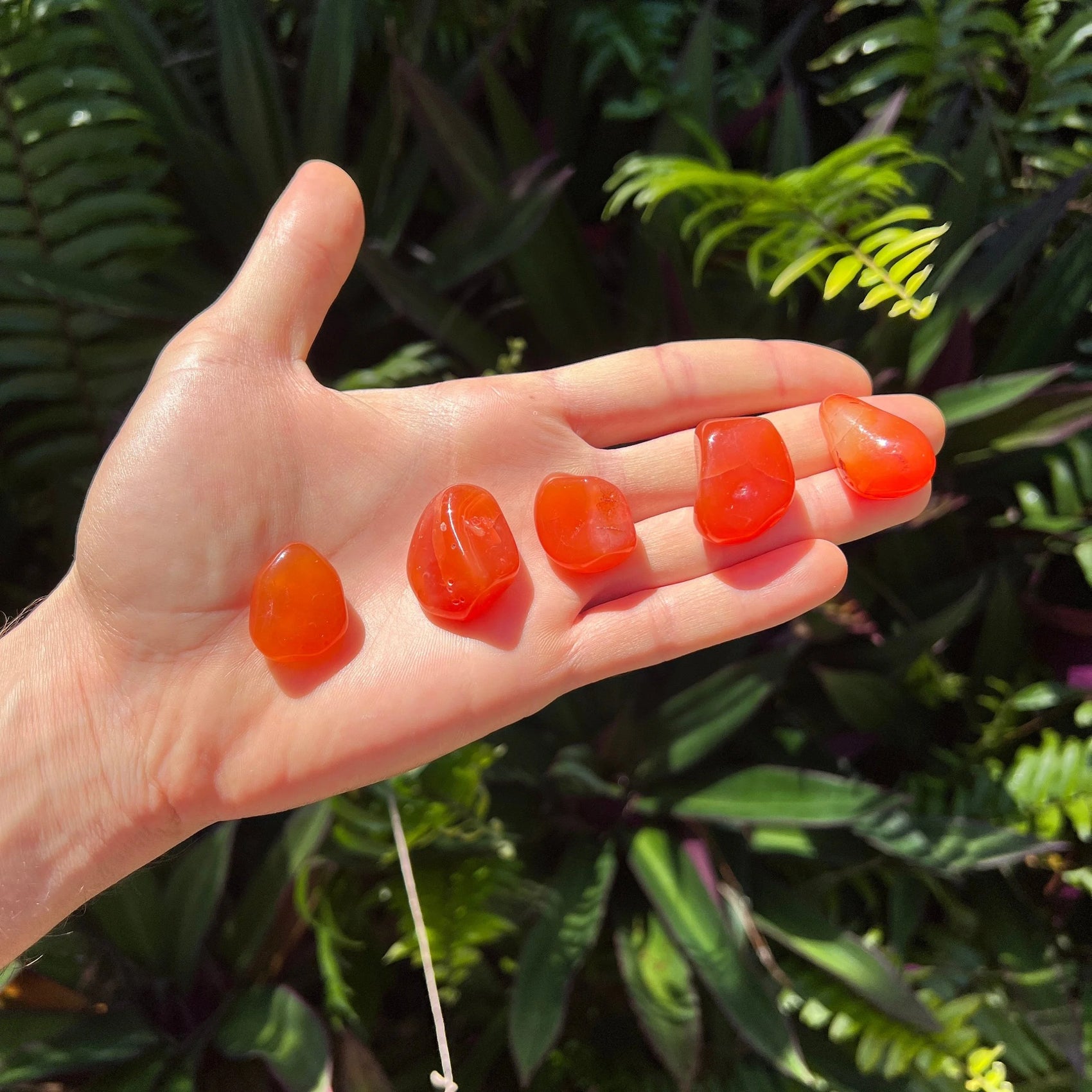 Full profile of Grade AA Carnelian tumbled stone ready to ship from Beyond Bohemian