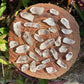 Held in hand, a Lemurian Quartz raw point held against natural backdrop.