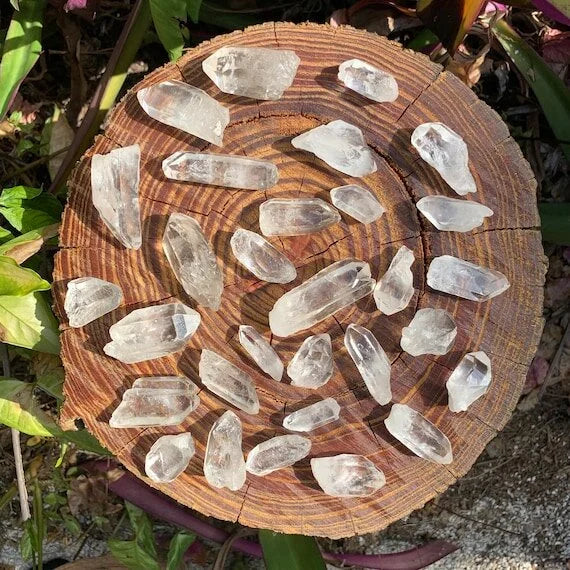 Held in hand, a Lemurian Quartz raw point held against natural backdrop.