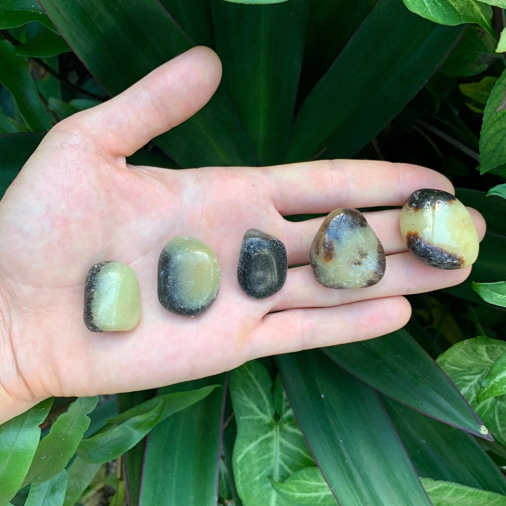 On a soft surface rests a Septarian tumbled stone, traditionally used for Focus, set against a soft neutral surface.