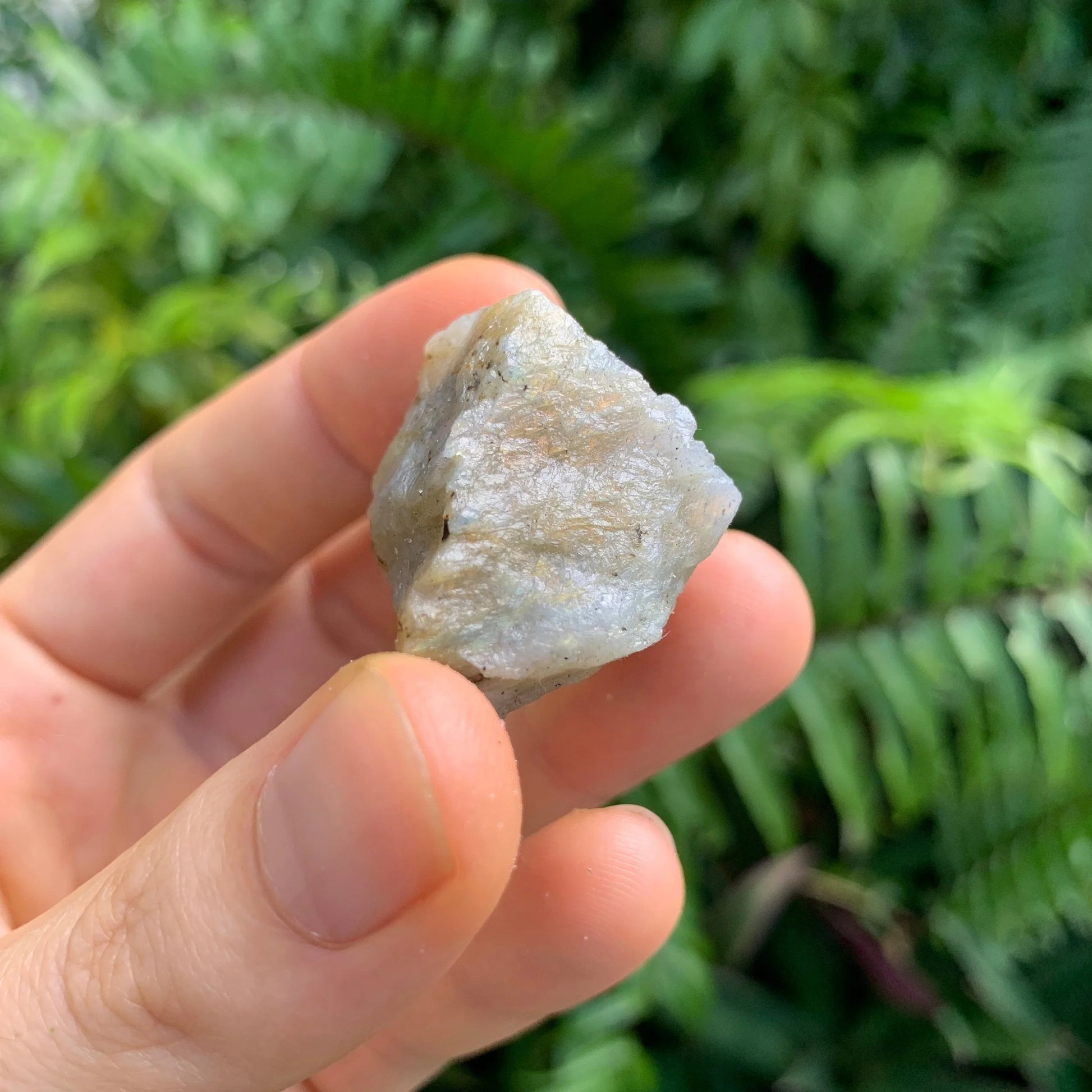 Alternate angle of Labradorite raw stone, showing characteristic finish.