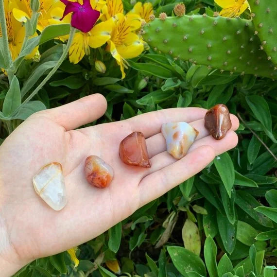 Full profile of Grade AA Carnelian tumbled stone ready to ship from Beyond Bohemian