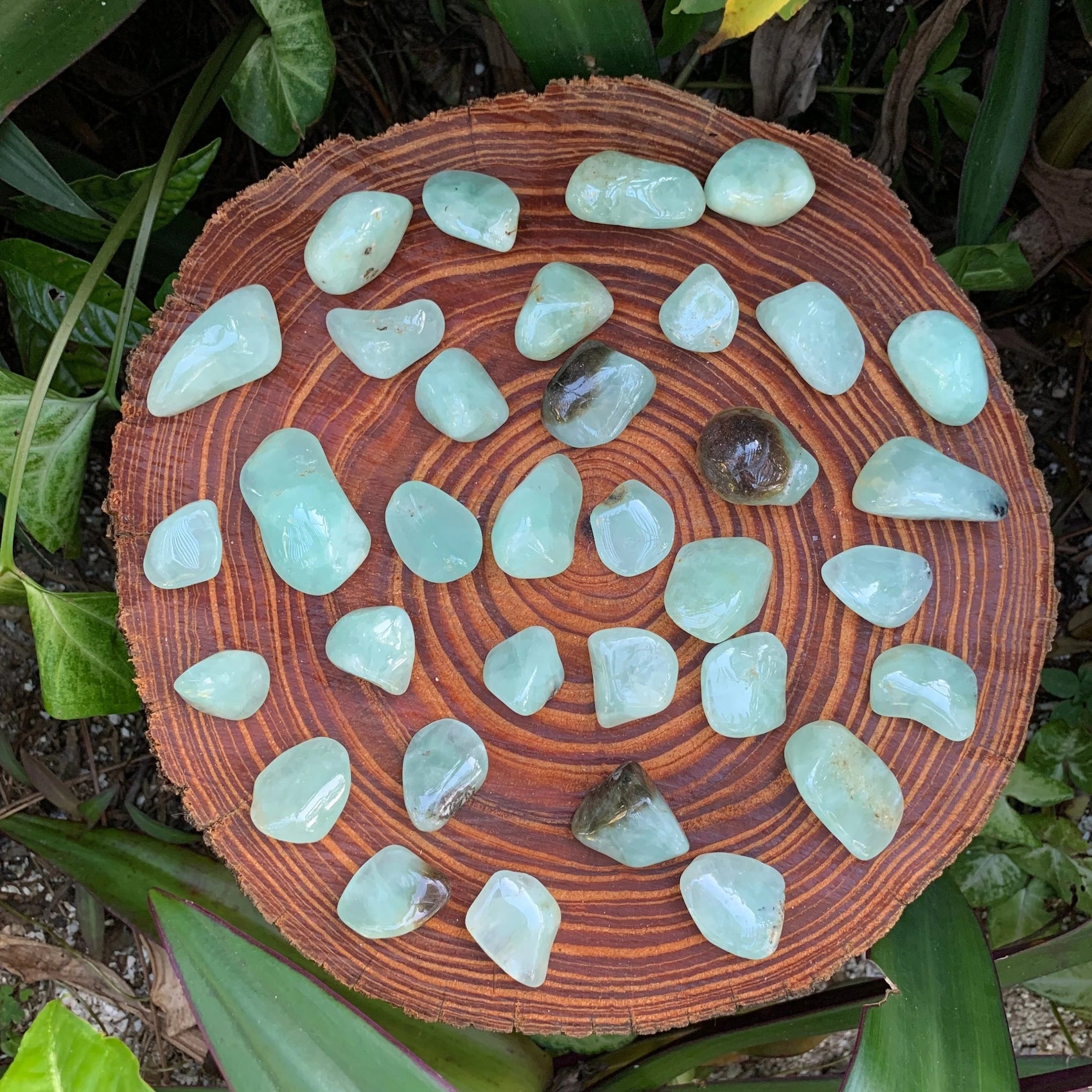 Close-up of Prehnite tumbled stone from Namibia, soothing wellness stone for Emotional Healing