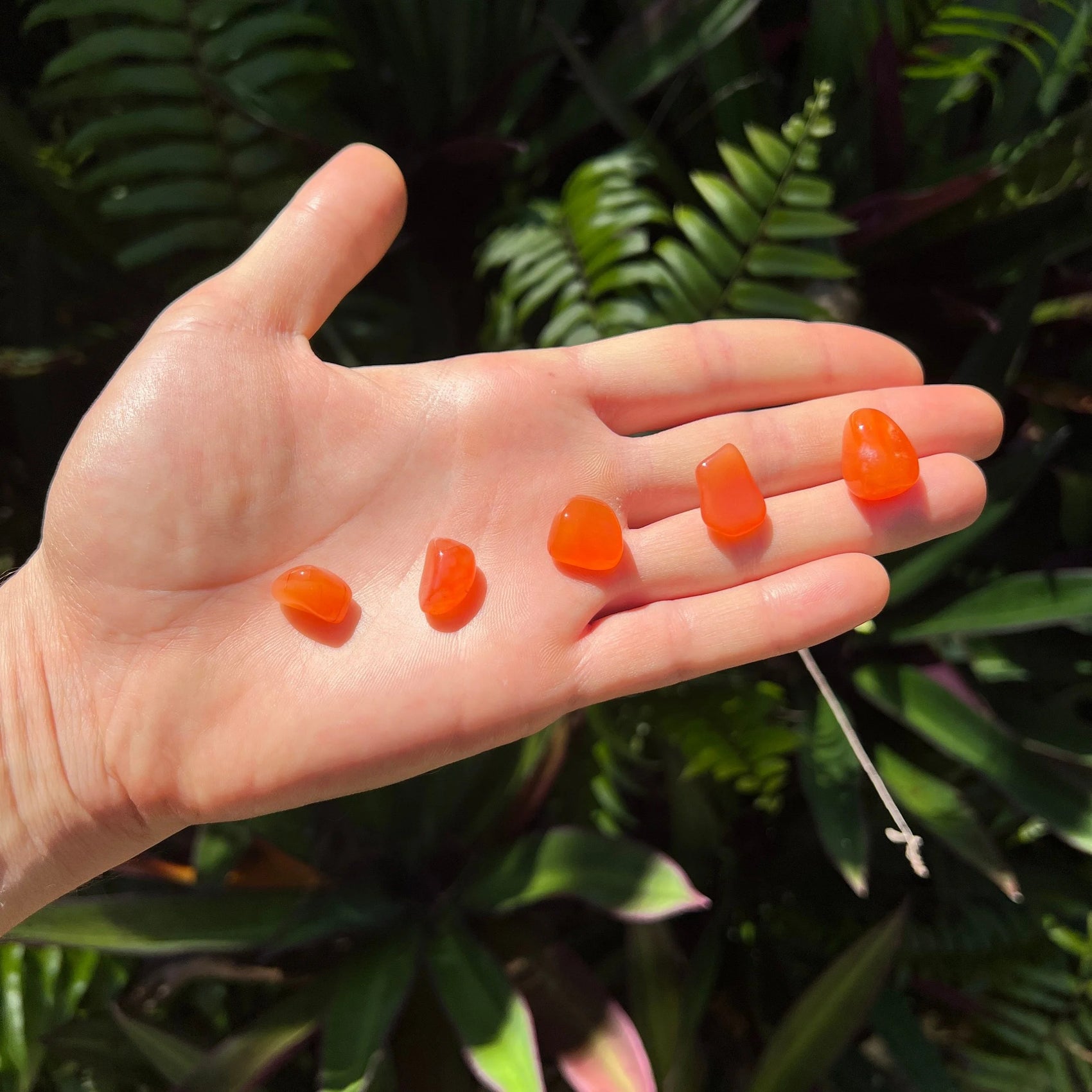 Full profile of Grade AA Carnelian tumbled stone ready to ship from Beyond Bohemian