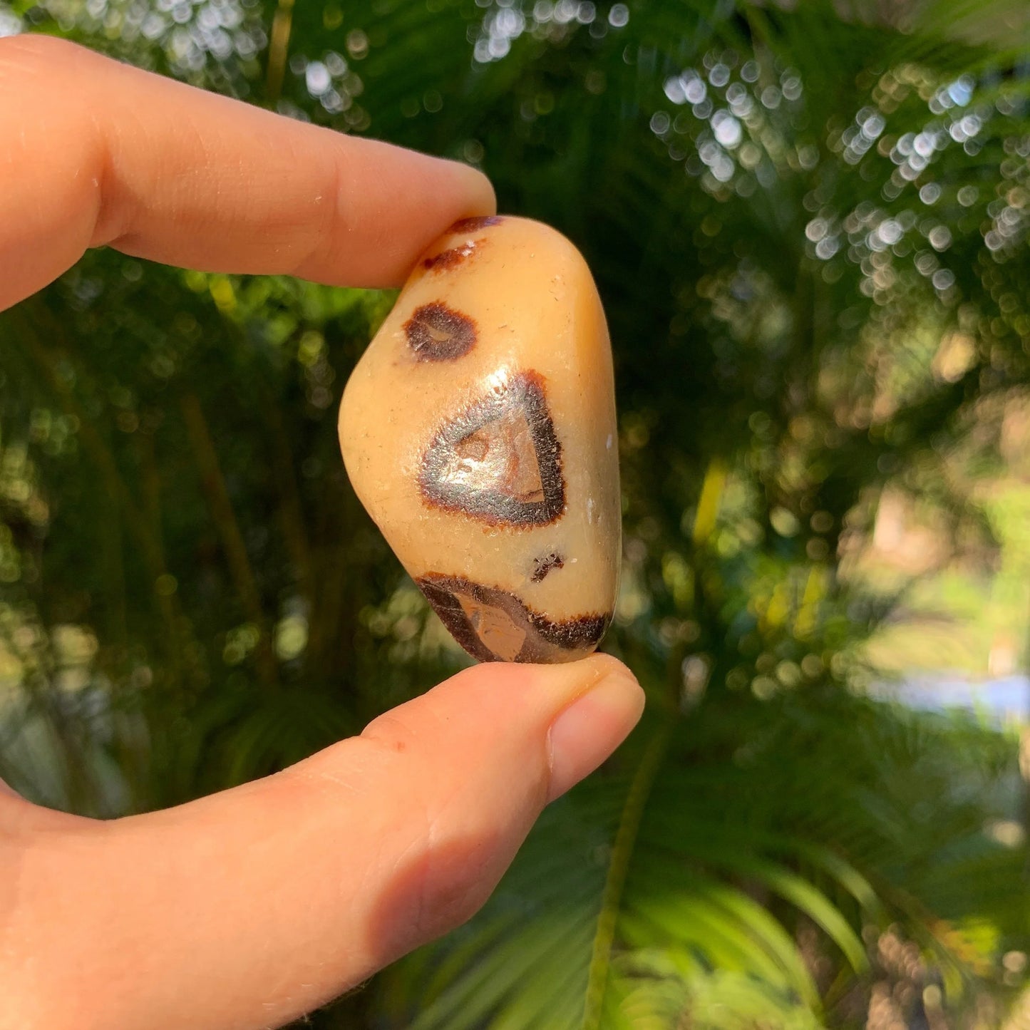 Alternate side of Septarian tumbled stone, showing soft luster.